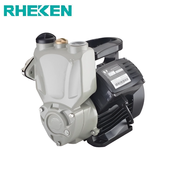 Máy bơm nước chân không Rheken JLM60-300